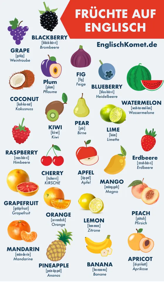 Überischt typische Früchte auf Englisch