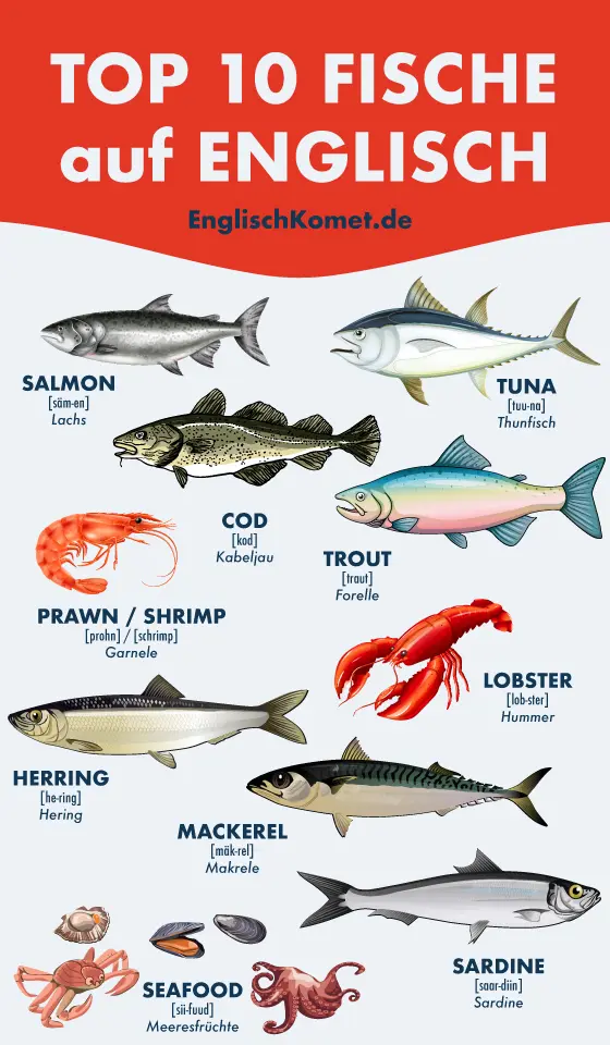 Fisch auf Englisch: Die ultimative Liste mit Aussprache & Tipps 2 Übersicht Top 10 Fisch auf Englisch